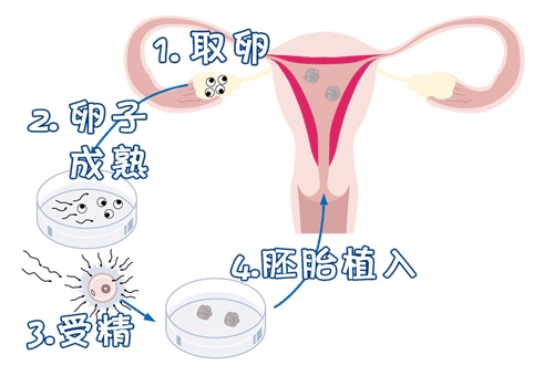 紫韵医疗